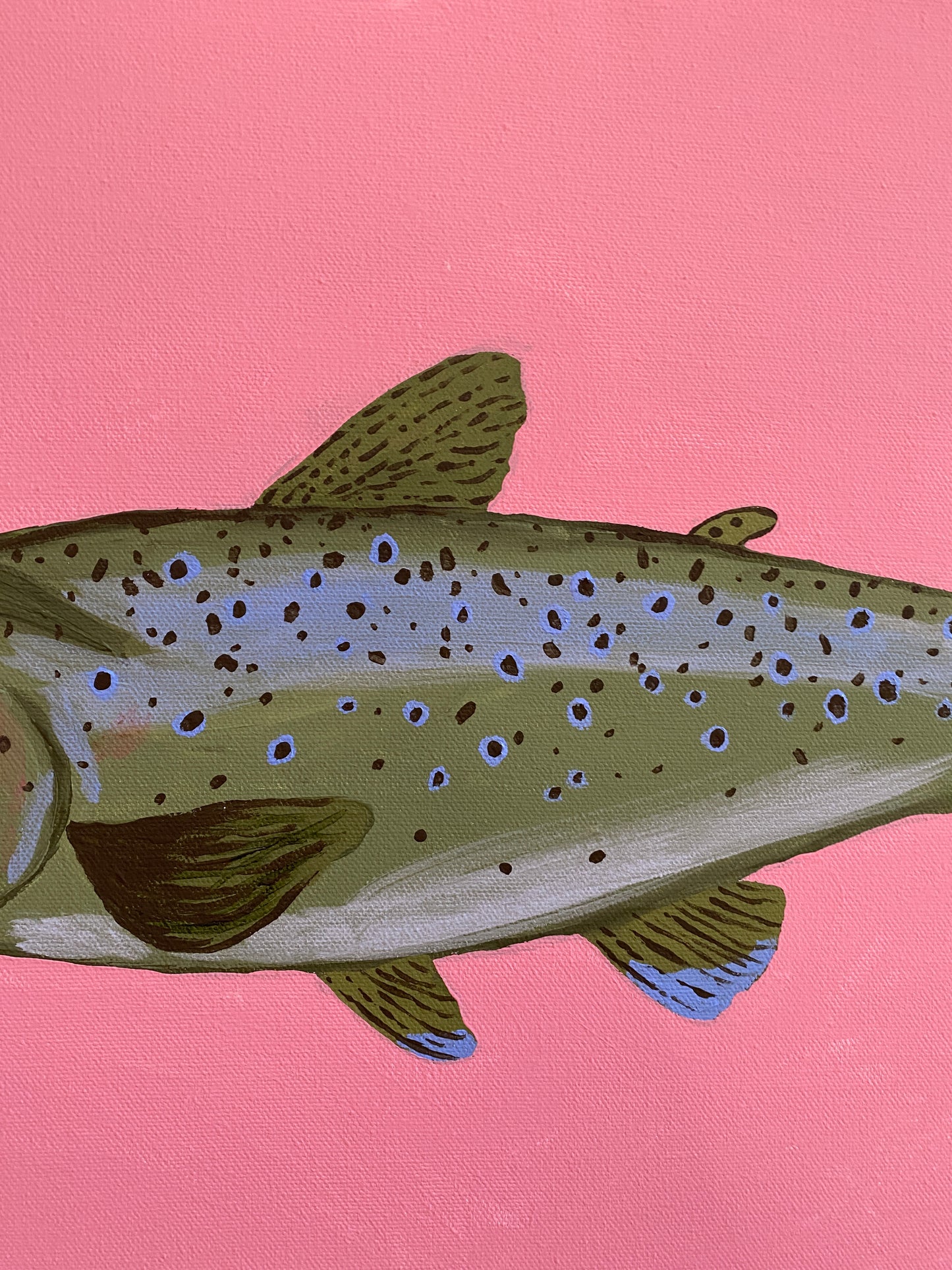 Smoked Trout