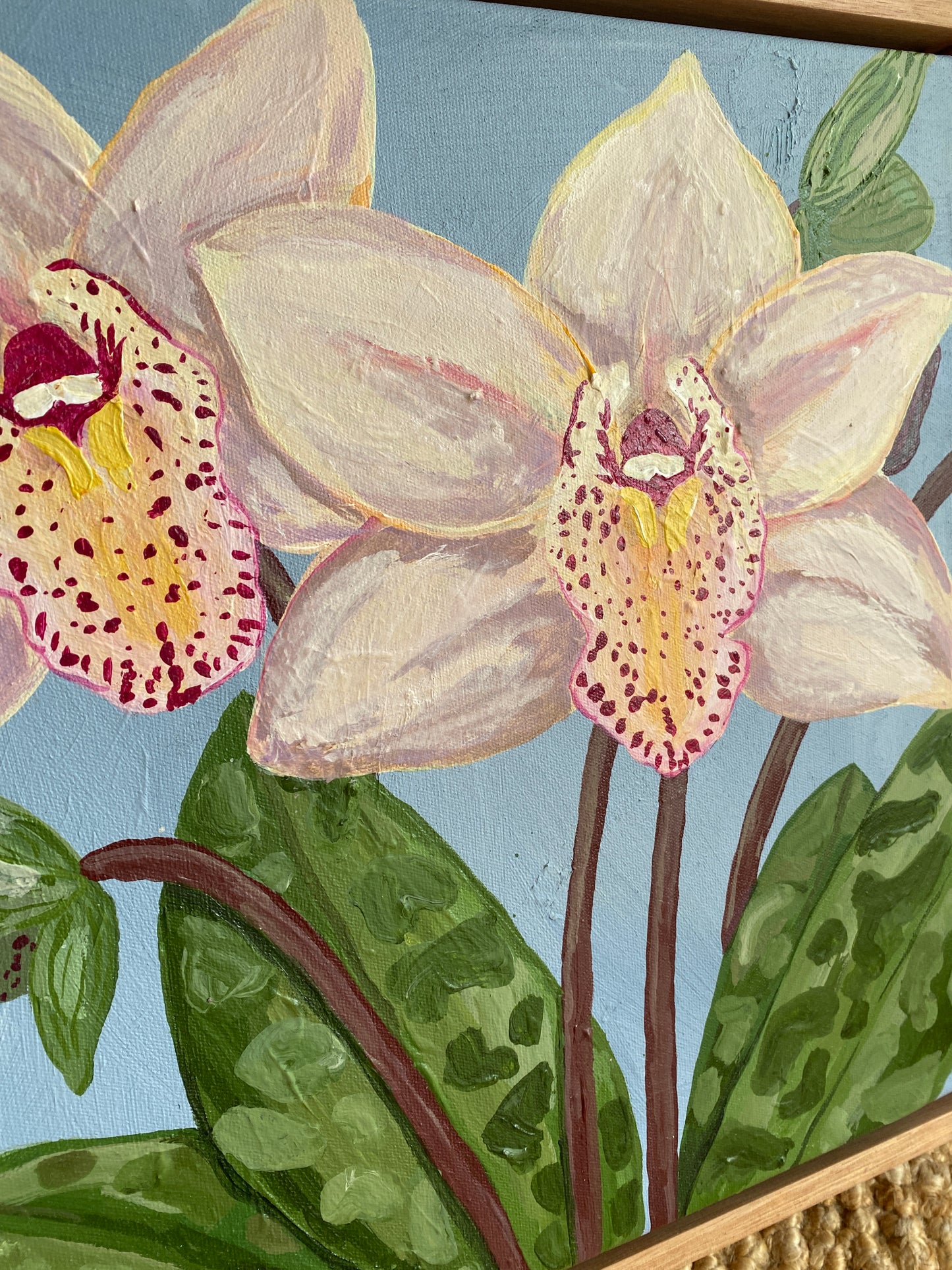 Cymbidium Orchid